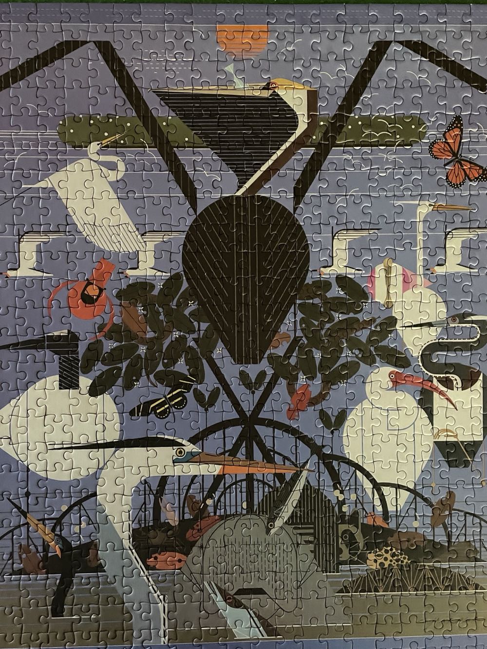 Coastal Creatures✅ - Pomegranate puzzle collectible [Barcode 9780764999444] - Main Image 2