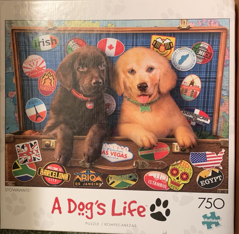  Pokemon Squirtle Evolution Graffiti 