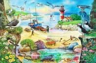 Panoramic : Hot Air Adventure