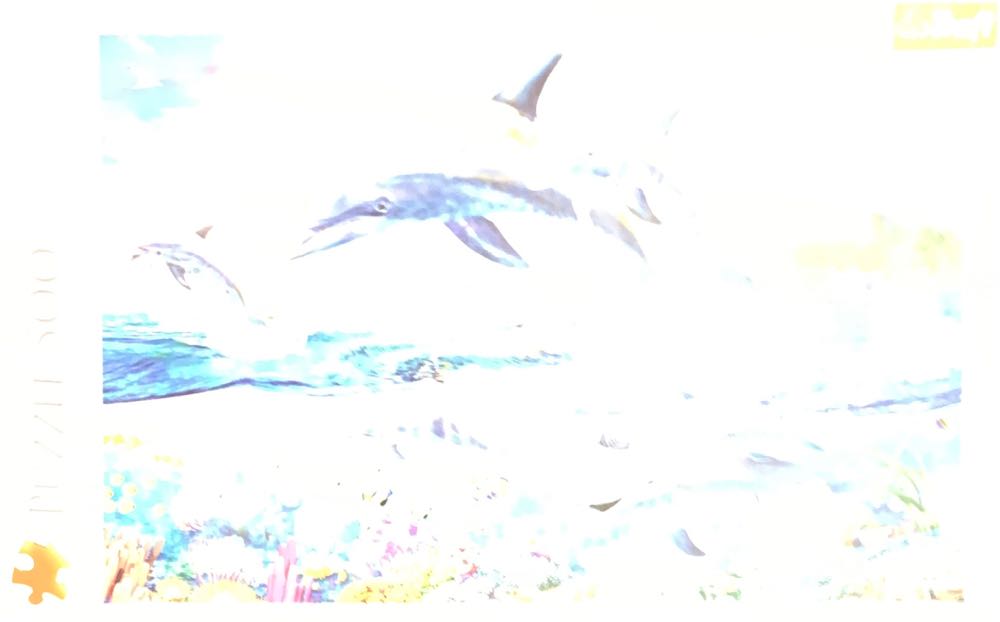 Dolphin - Trefl puzzle collectible [Barcode 5900511373189] - Main Image 1
