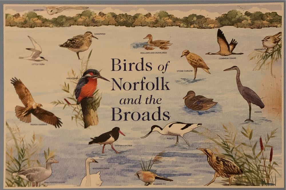 Charles Wysocki- Pickwick Cottage