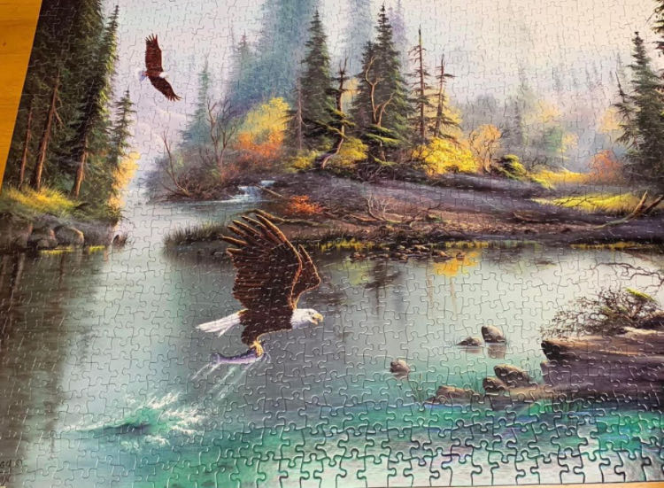 River Eagles - SunsOut puzzle collectible [Barcode 796780531246] - Main Image 2