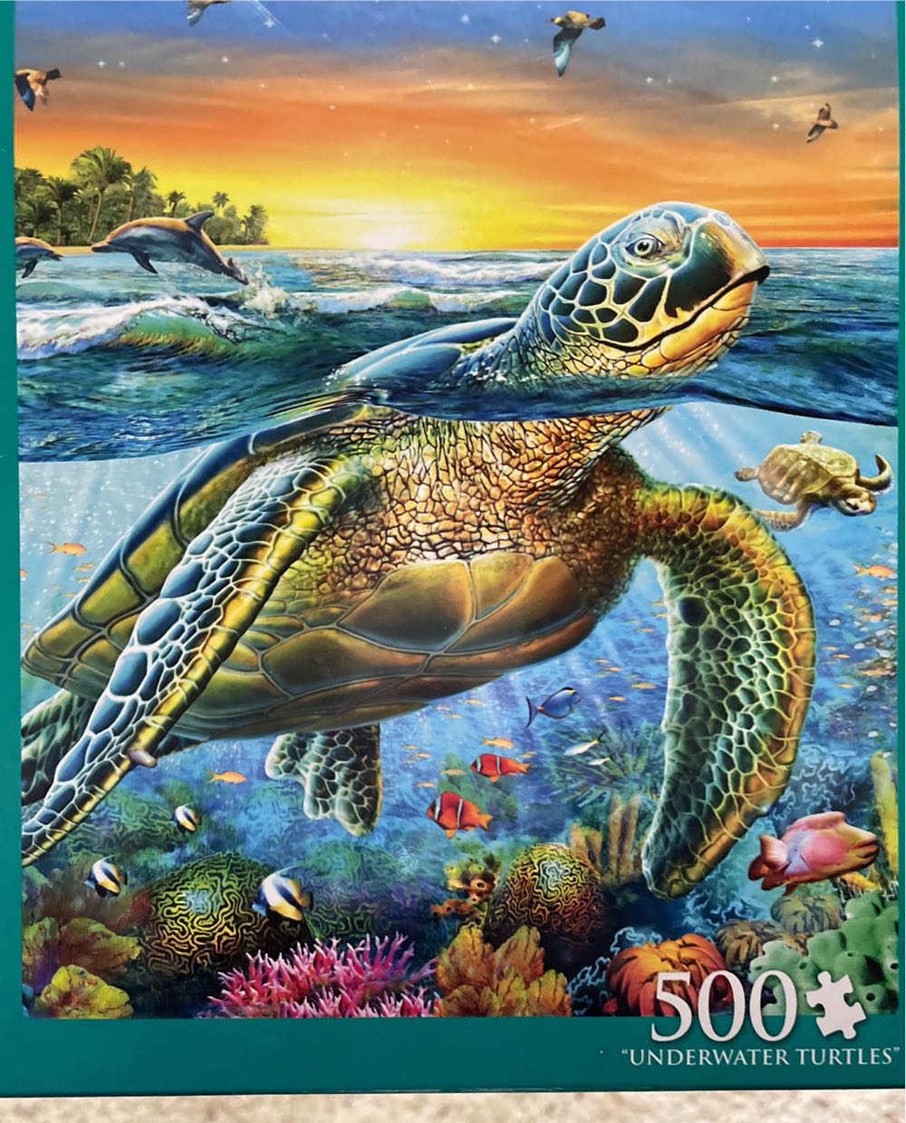 Cinderella Wishes Upon A Dream