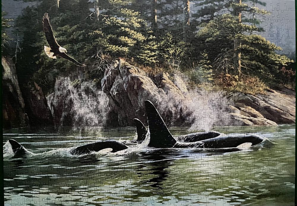 Orcas - Cobble Hill puzzle collectible [Barcode 625012802499] - Main Image 2