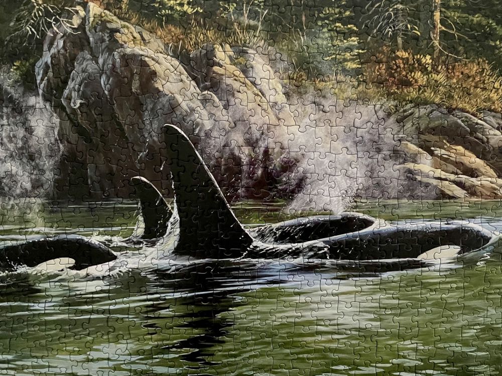 Orcas - Cobble Hill puzzle collectible [Barcode 625012802499] - Main Image 3