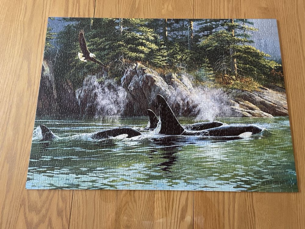 Orcas - Cobble Hill puzzle collectible [Barcode 625012802499] - Main Image 4