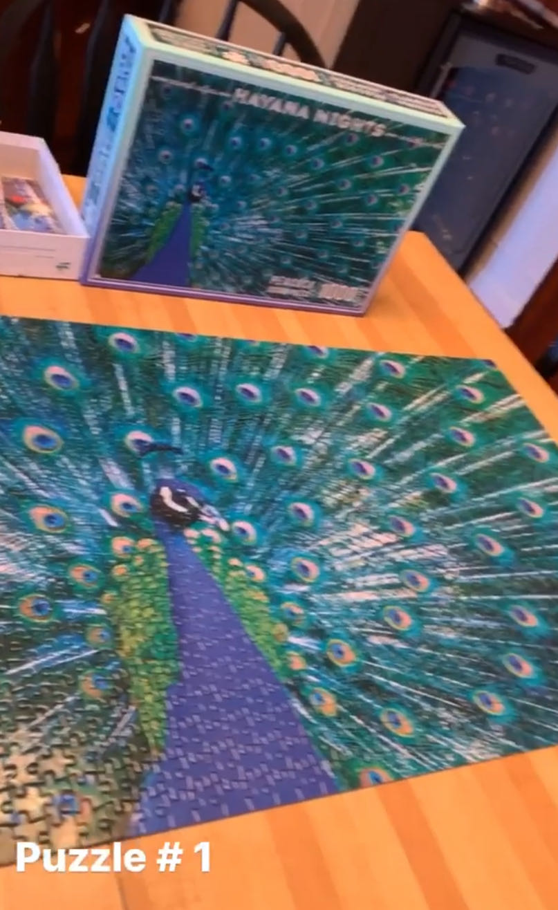 Peacock - Havana Nights puzzle collectible [Barcode 191205439655] - Main Image 2