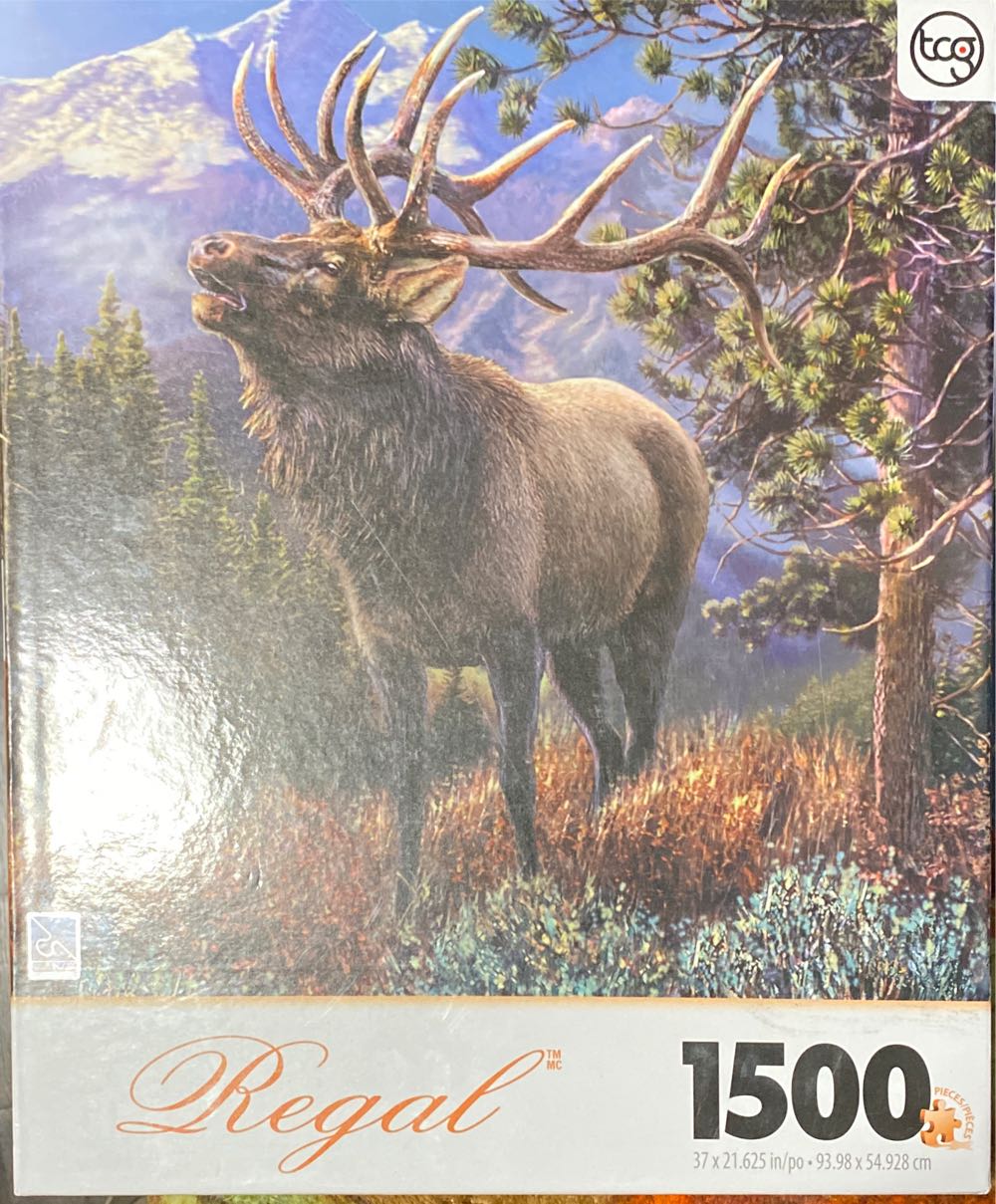 Kittens In Garden SOLD 