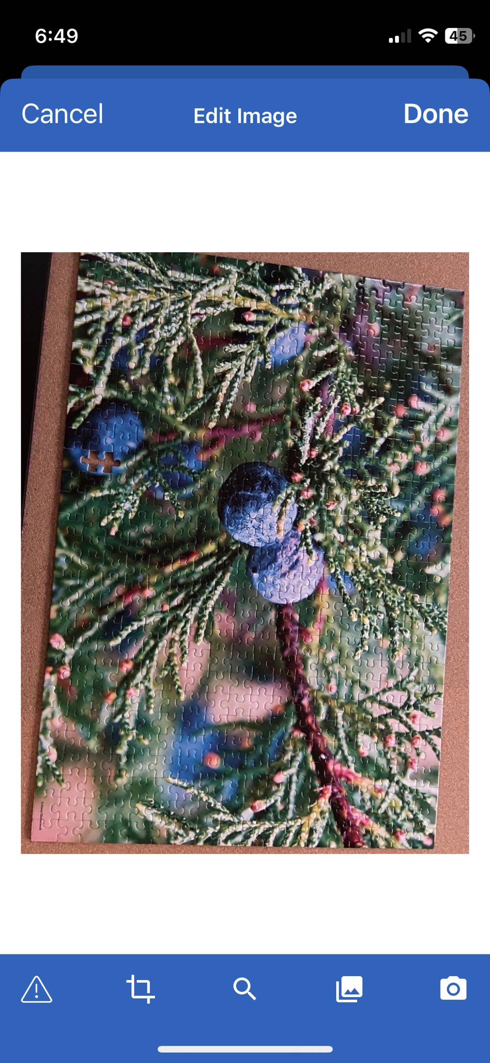 Juniper - Mega Puzzles puzzle collectible [Barcode 072348514105] - Main Image 2