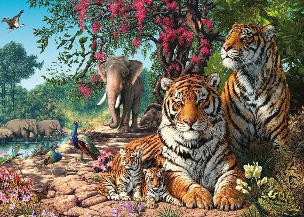 Discoveries Tiger Sanctuary🟦 - Gibsons puzzle collectible [Barcode 5012269070460] - Main Image 2