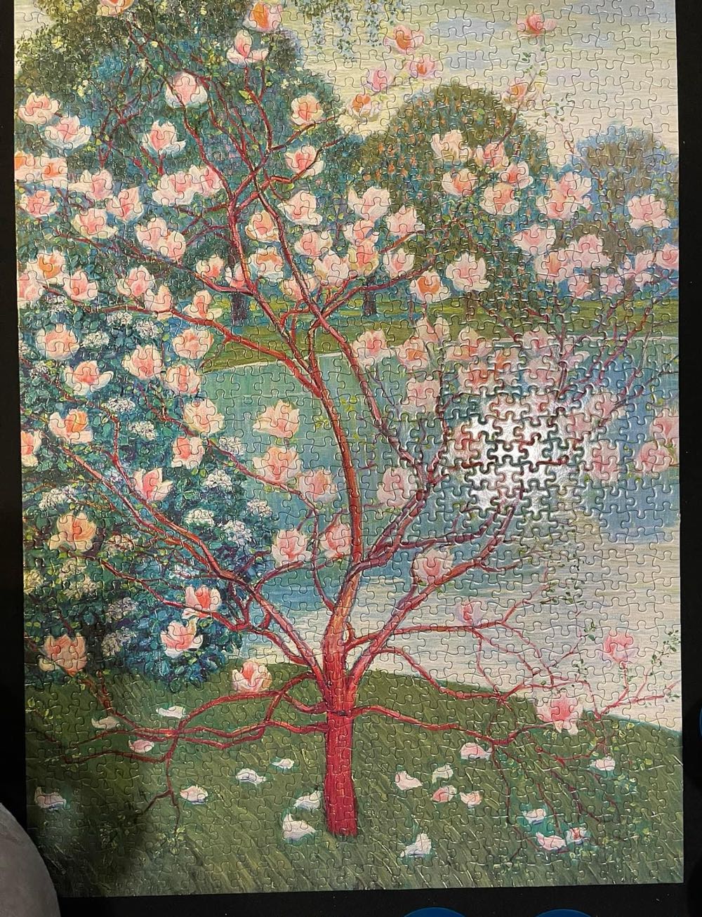 Magnolia - Flame Tree Publishing 🇬🇧 puzzle collectible [Barcode 9781787556140] - Main Image 2