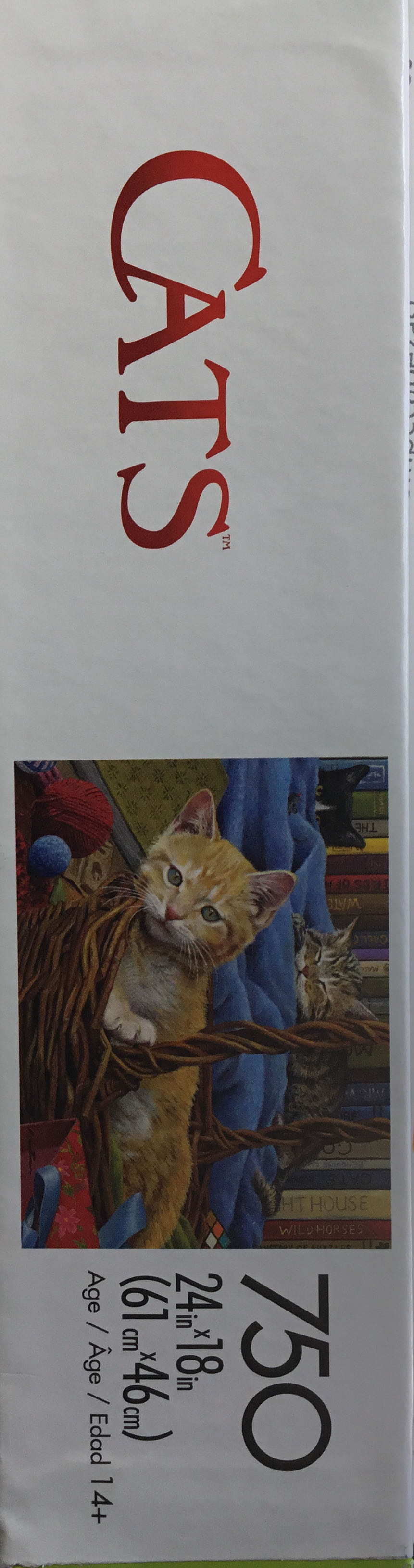 Billy The Kit - Buffalo Games puzzle collectible [Barcode 079346173006] - Main Image 4