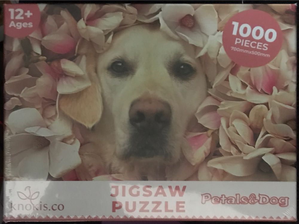 Colorful Copacabana Beach Umbrellas