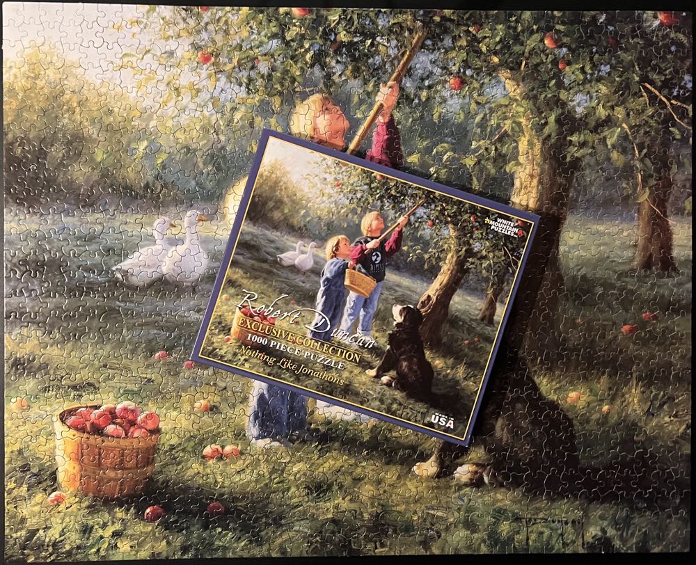 Nothing Like Jonathons  - White Mountain Puzzles puzzle collectible [Barcode 724819253425] - Main Image 4
