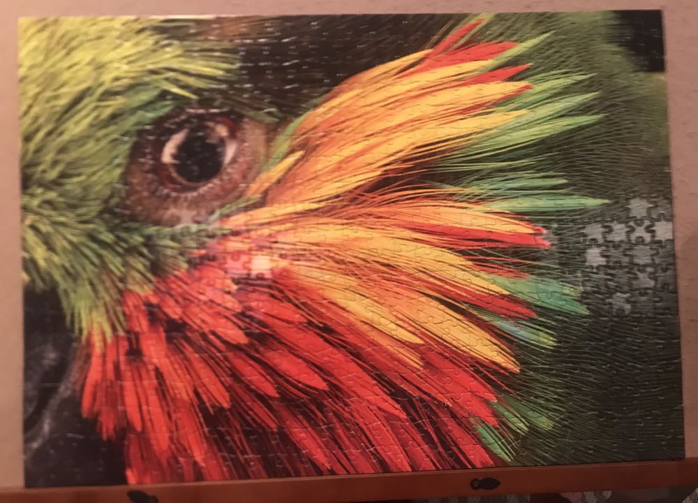 Edward’s Fig Parrot - Buffalo Games puzzle collectible [Barcode 079346034123] - Main Image 3