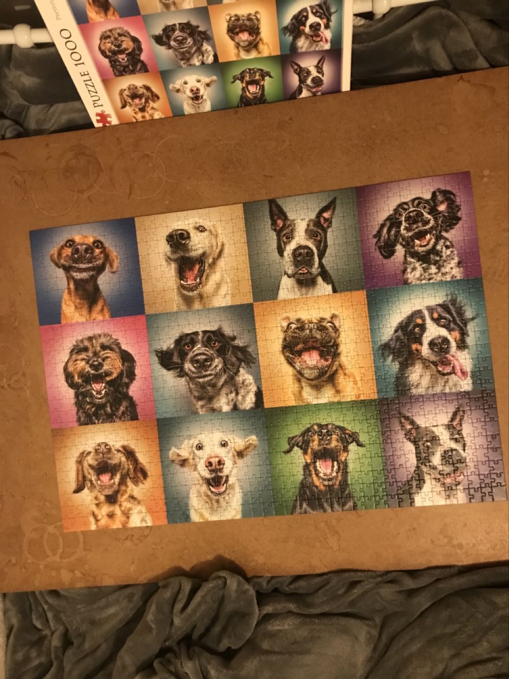 Funny Dog Portraits - Trefl puzzle collectible [Barcode 5900511104622] - Main Image 2