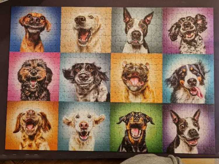 Funny Dog Portraits - Trefl puzzle collectible [Barcode 5900511104622] - Main Image 4