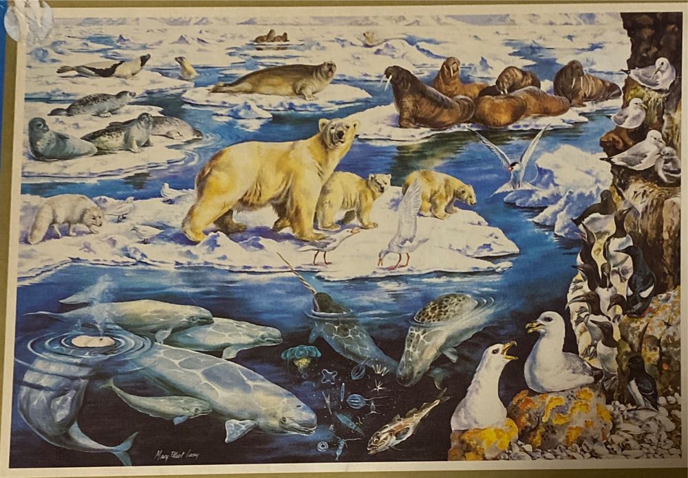 Aquarius: DC Superman Retro