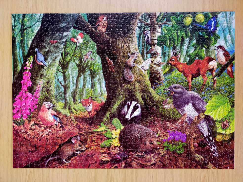Bosgebieden, Een Natuurlijk toevluchtsoord voor dieren. - James Hamilton puzzle collectible [Barcode 794050155321] - Main Image 2