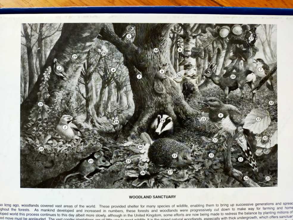 Bosgebieden, Een Natuurlijk toevluchtsoord voor dieren. - James Hamilton puzzle collectible [Barcode 794050155321] - Main Image 3