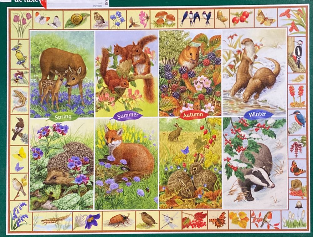 Red Barron German Plane