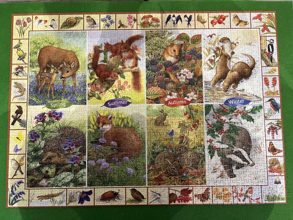 Seasonal Wildlife - Falcon de luxe puzzle collectible [Barcode 8710126112007] - Main Image 2