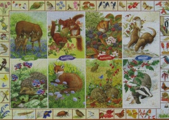 Seasonal Wildlife - Falcon de luxe puzzle collectible [Barcode 8710126112007] - Main Image 3