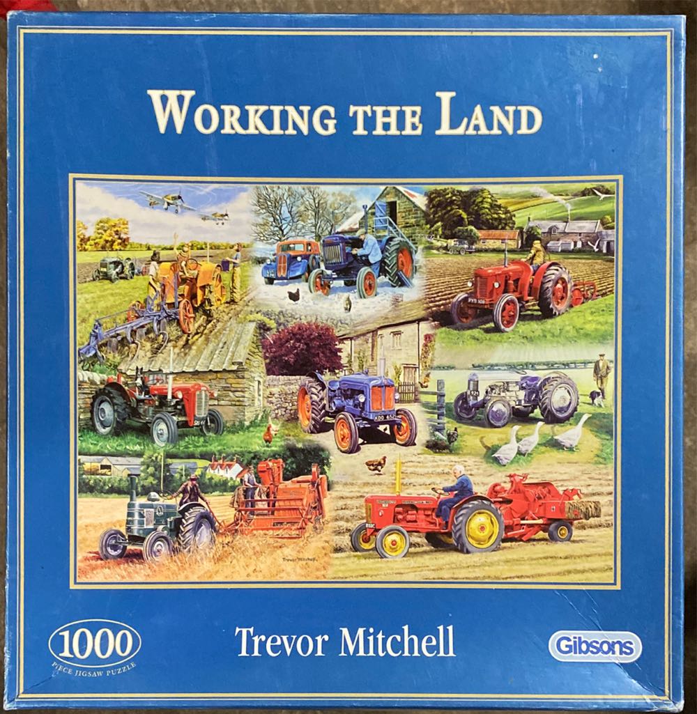 Peacock Feather Fairy