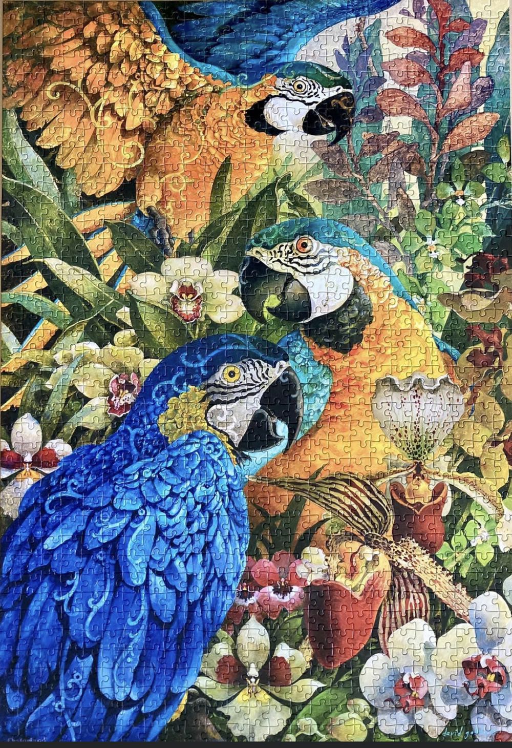 Evening At The Waterhole