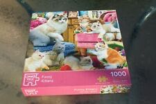 Canadian Winter Fun Pending