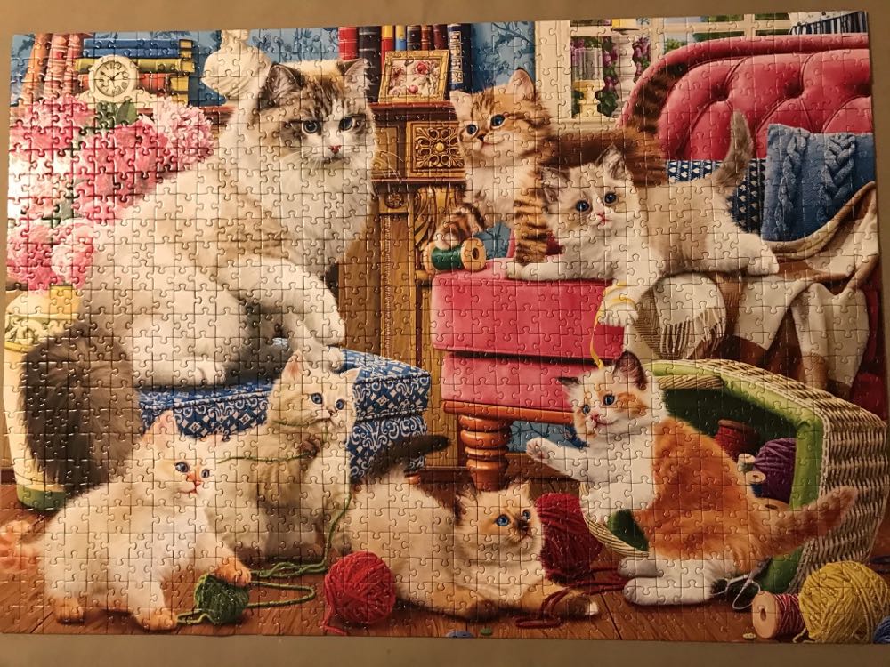 Funny Kittens - Corner Piece 🇬🇧 puzzle collectible [Barcode 5052089288638] - Main Image 2