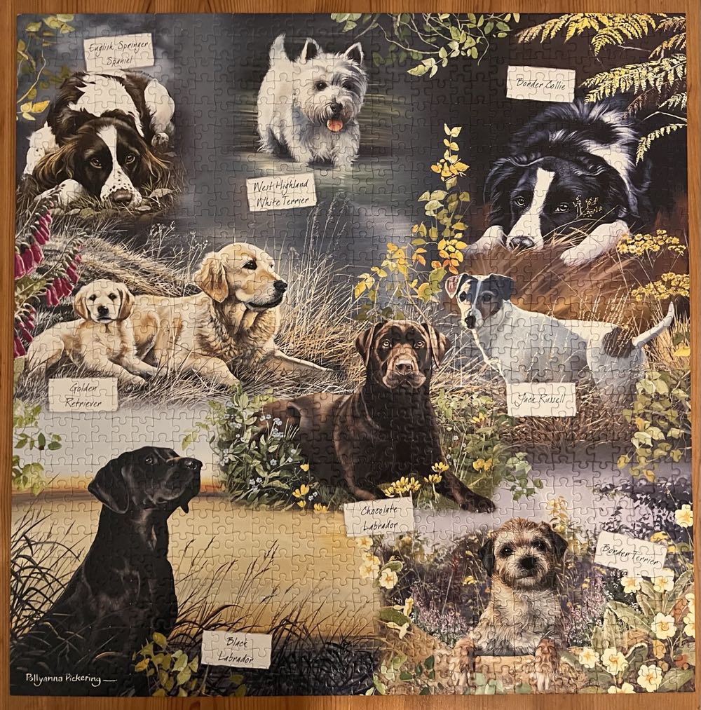 Man’s Best Friend - Otter House puzzle collectible [Barcode 5017680039775] - Main Image 2