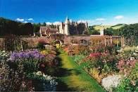 From Garden To Plate