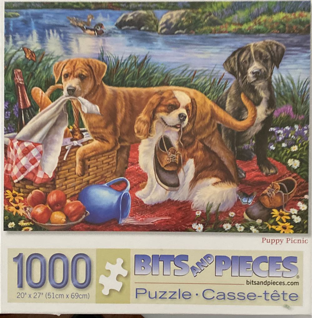 Neuschwanstein Castle With Balloons 