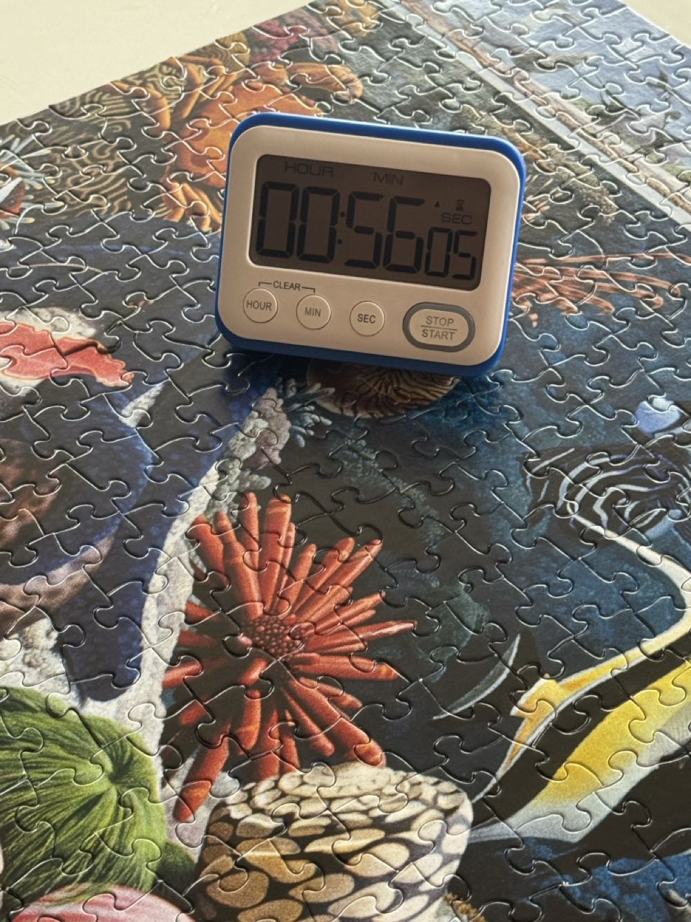 National Geographic Ocean Life - New York Puzzle Company 🇺🇸 puzzle collectible [Barcode 819844016104] - Main Image 4