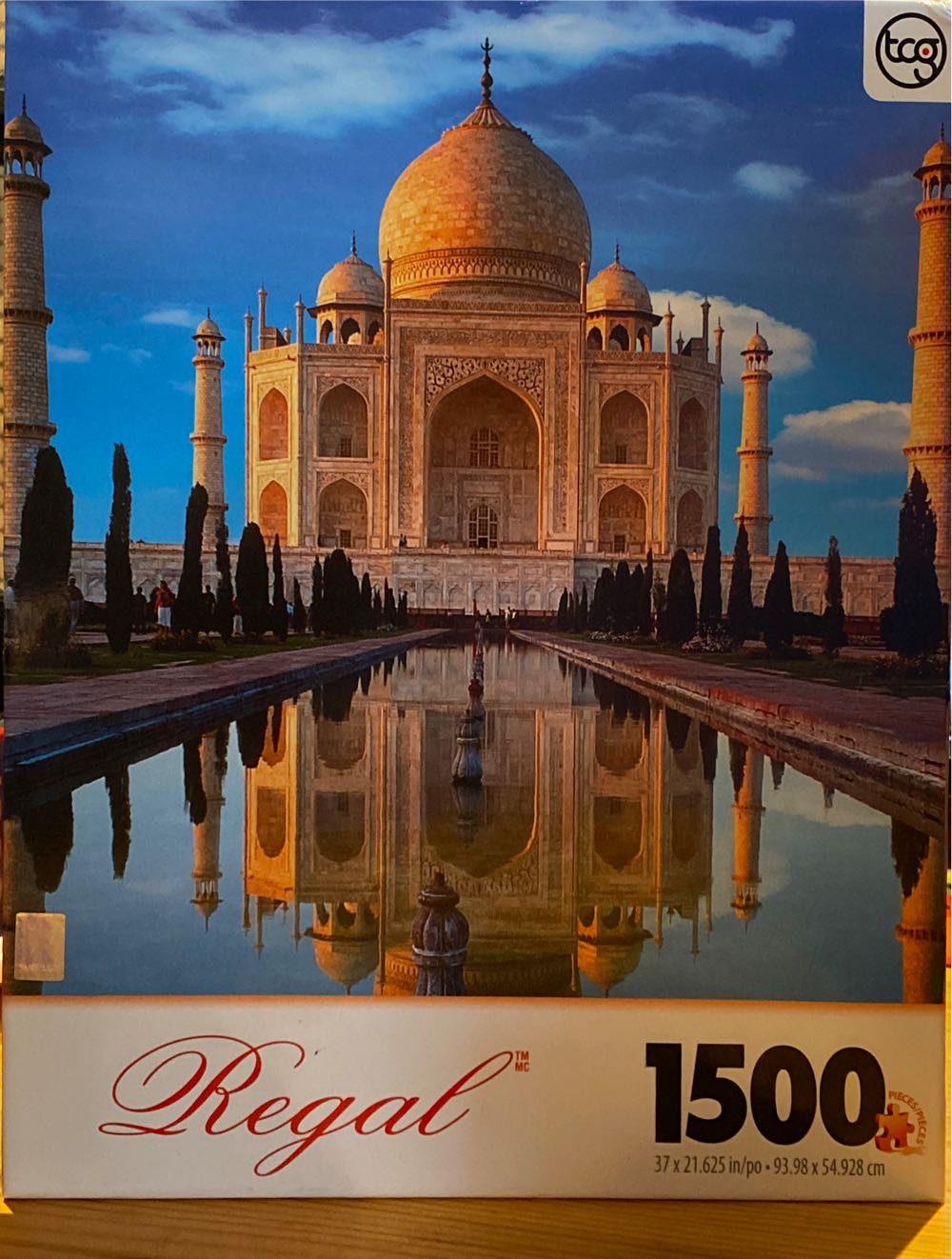 Gina Jane Hydrangea’s