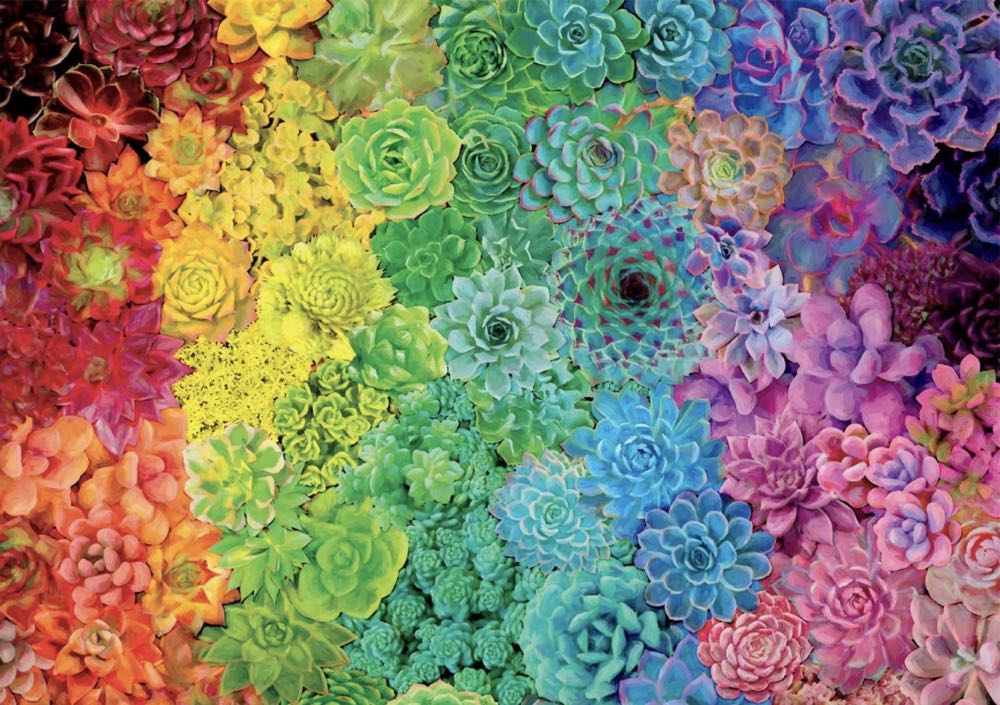 Succulent Rainbow - Buffalo Games puzzle collectible [Barcode 079346027514] - Main Image 2