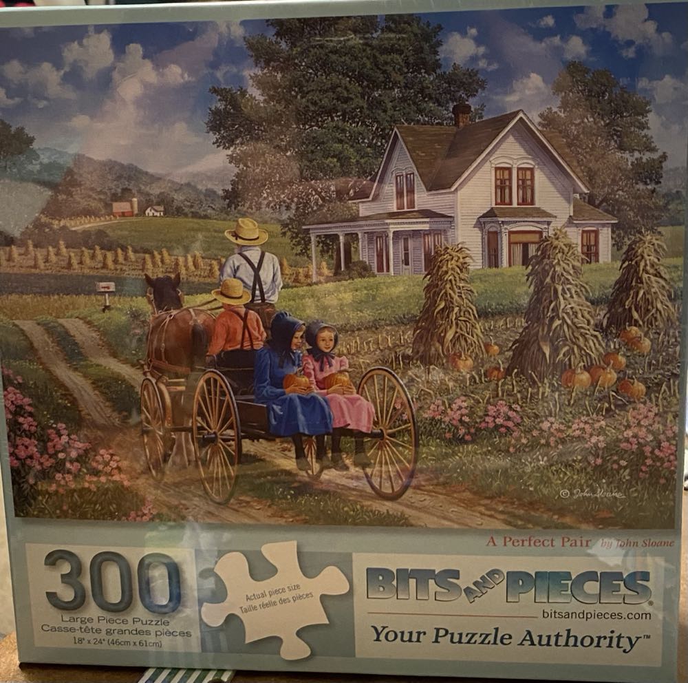 A Perfect Pair - Bits & Pieces puzzle collectible [Barcode 192949003102] - Main Image 4