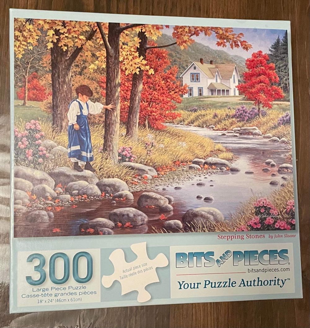 Stepping Stones - Bits & Pieces puzzle collectible [Barcode 192949003126] - Main Image 2
