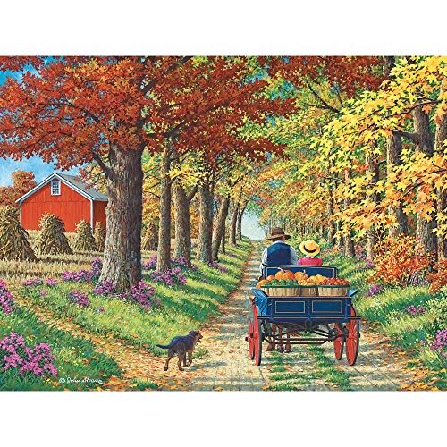 Z - Starbright (SOLD)