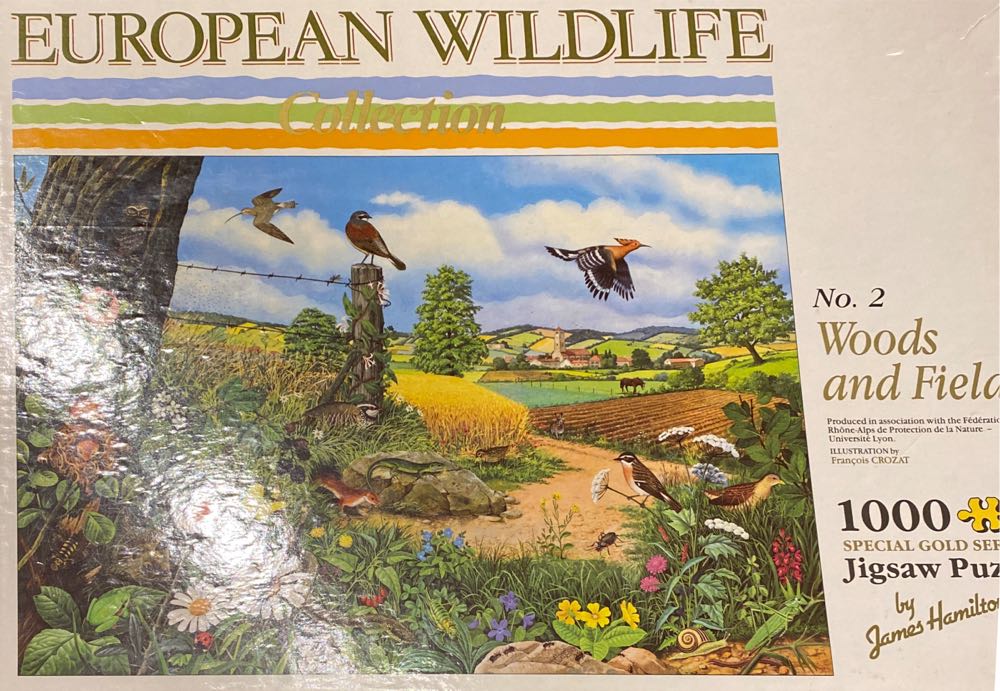 Harry Potter - Hedwig 3D