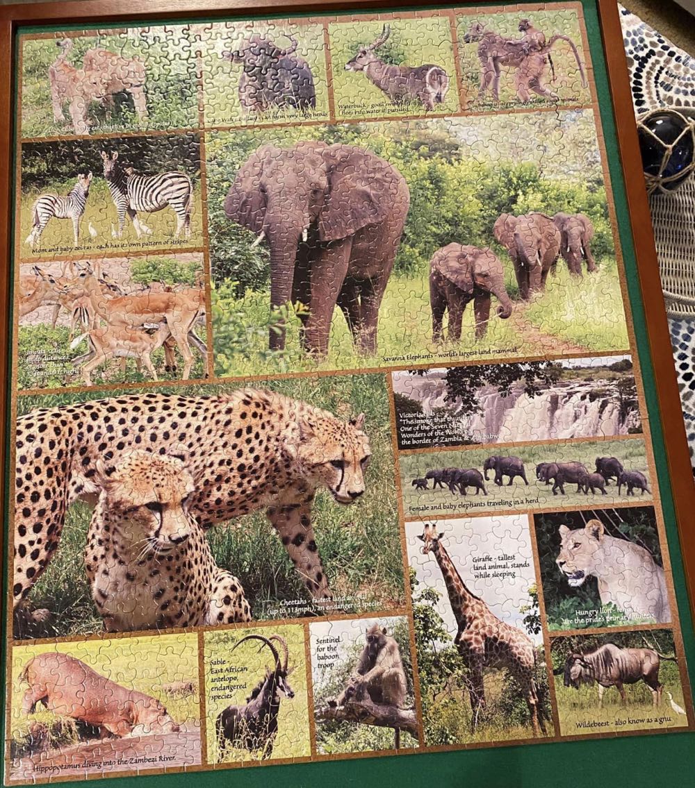 Z - African Safari (Given To Diane Gallant) - White Mountain puzzle collectible [Barcode 724819252114] - Main Image 3