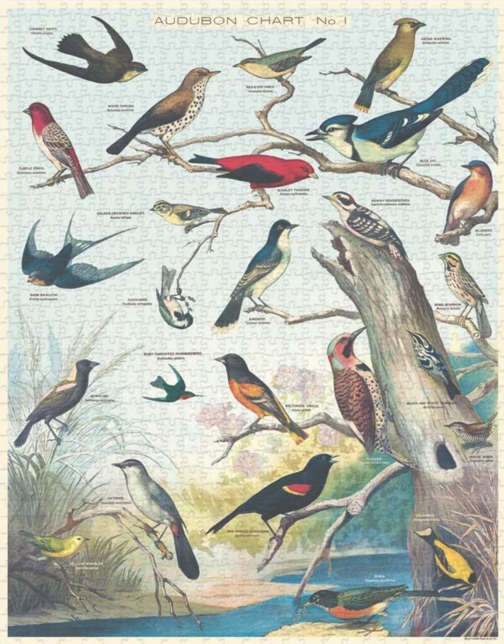 Audubon Birds - Cavallini & Co puzzle collectible [Barcode 9781635448870] - Main Image 2