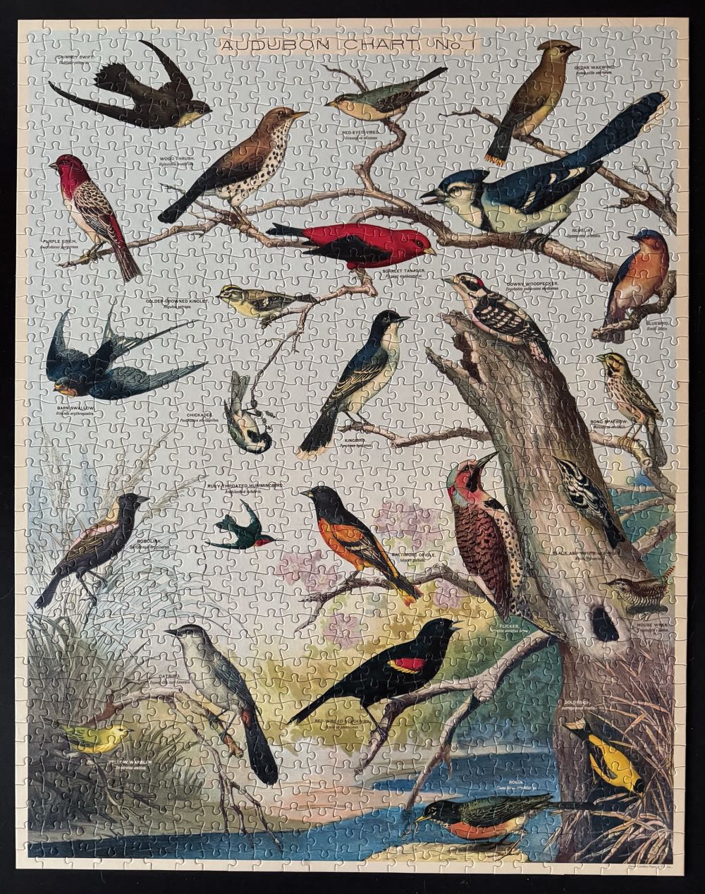 Audubon Birds - Cavallini & Co puzzle collectible [Barcode 9781635448870] - Main Image 3