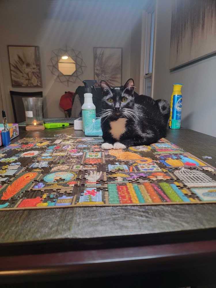 Alchemist’s Cabinet 1000 Pieces - eeBoo Piece & Love puzzle collectible [Barcode 689196511721] - Main Image 3