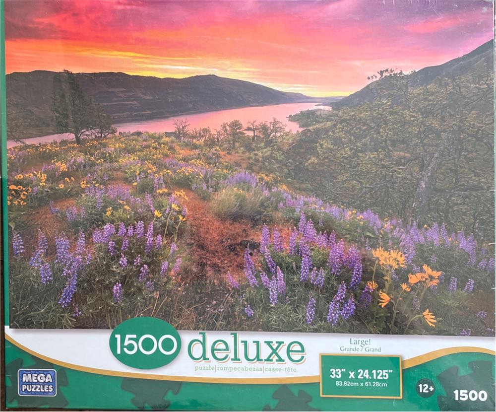 Where’s Waldo? The Deep-Sea Divers