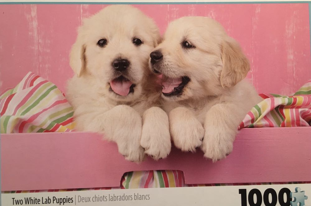 Sure Lox Photo Gallery Puzzle X 4 Pieces Puppies Kittens Barn House - Tcg puzzle collectible [Barcode 686141063168] - Main Image 2