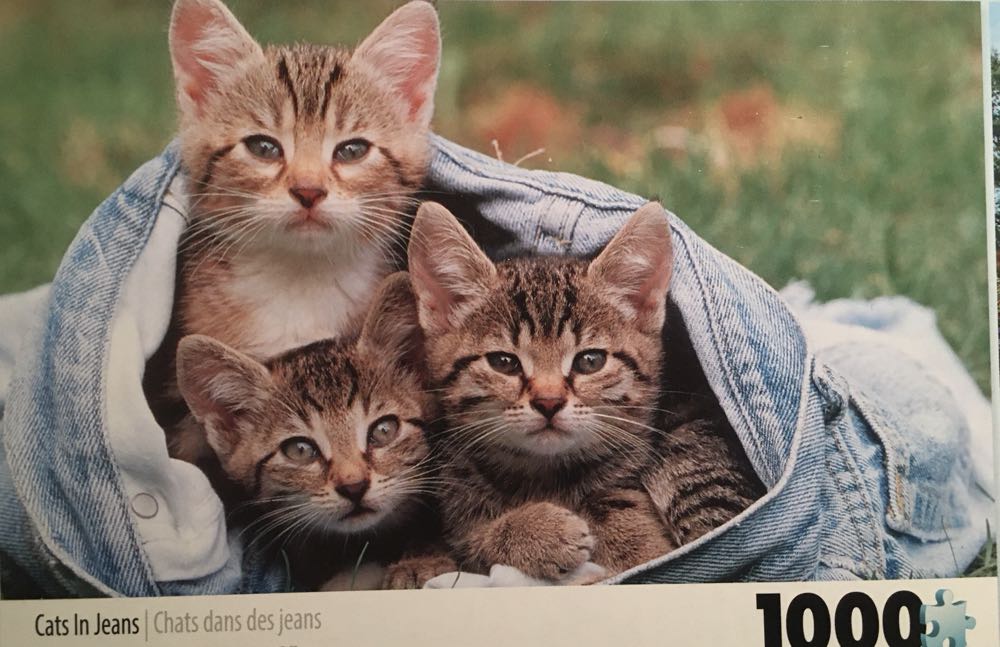 Sure Lox Photo Gallery Puzzle X 4 Pieces Puppies Kittens Barn House - Tcg puzzle collectible [Barcode 686141063168] - Main Image 3