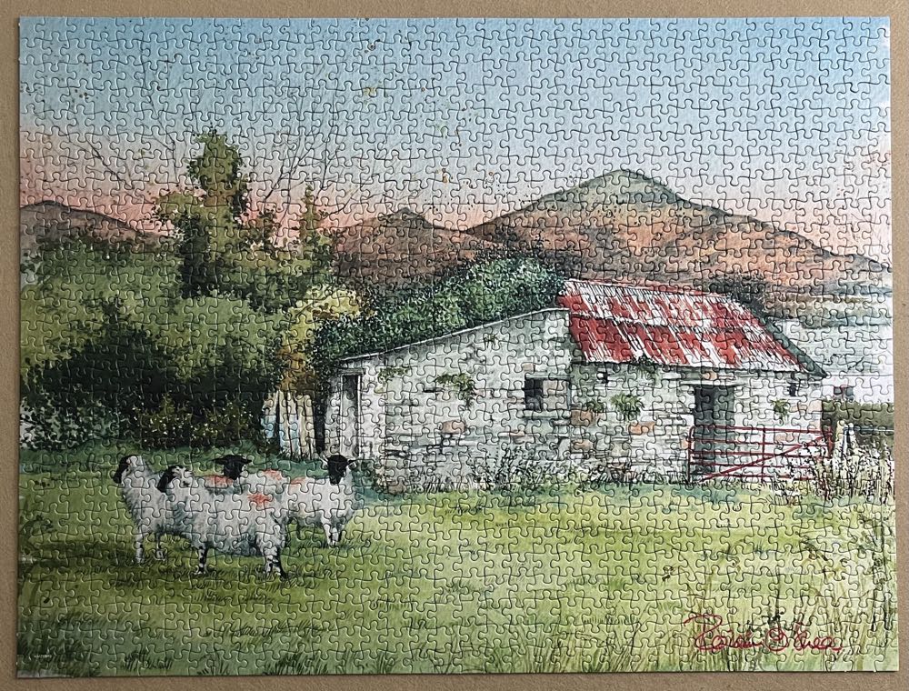 Castlegregory Co Kerry - The Ugly Duckling Company Limited puzzle collectible [Barcode 5099563143120] - Main Image 2