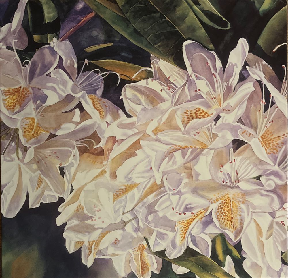 White Rhododendron - Laurel Ink puzzle collectible - Main Image 1